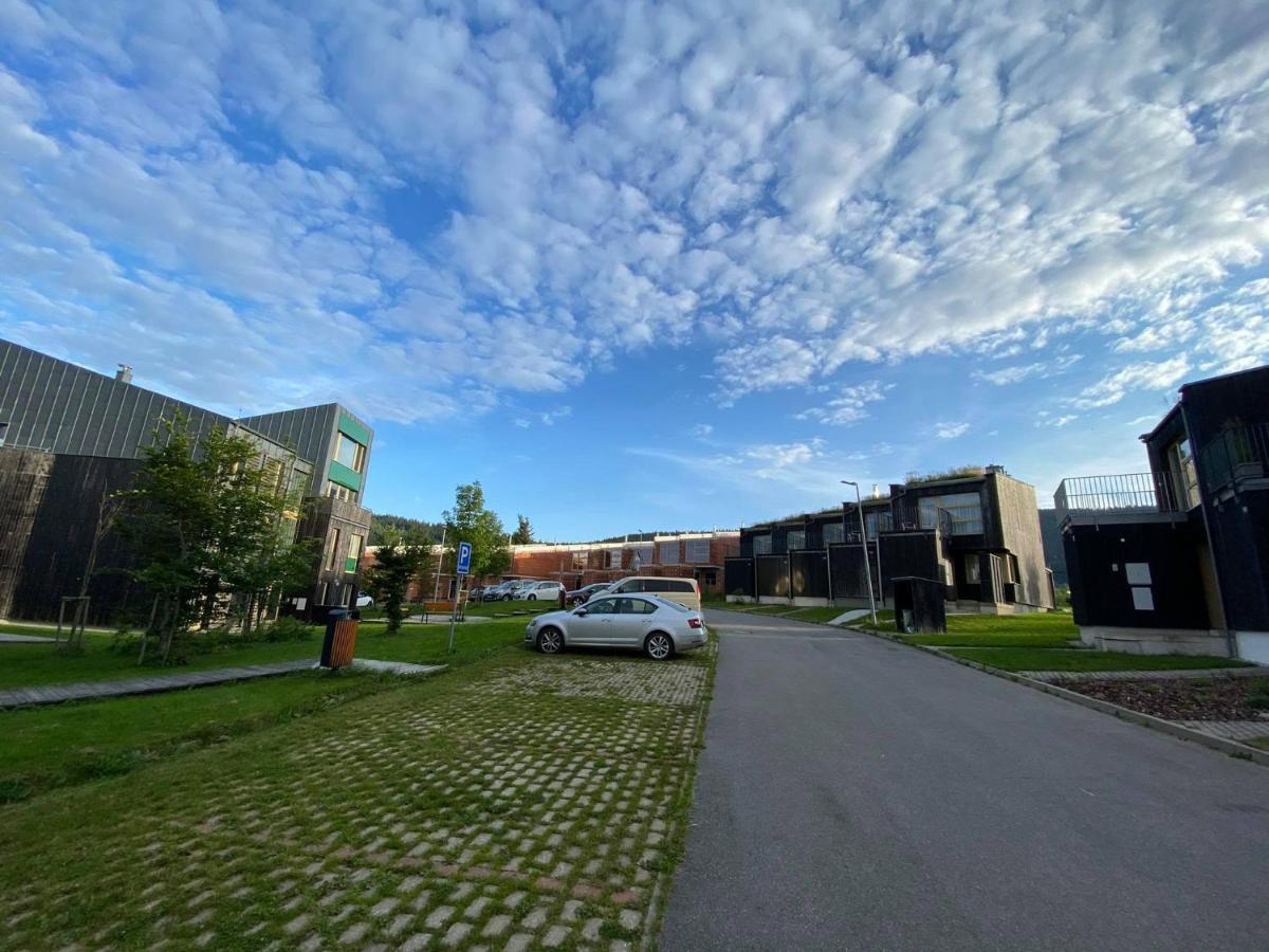 Miky Apartman Klinovec Loučná pod Klínovcem Exterior foto